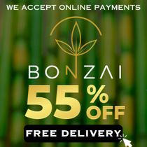 Bonzai Delivery