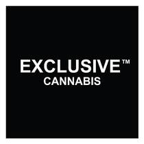 Exclusive (Ann Arbor)