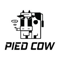 Pied Cow