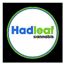 Hadleaf Cannabis