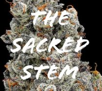 The Sacred Stem