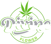 DIVINE FLOWER