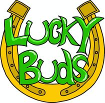 Lucky Buds - Crystal