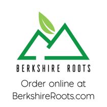 Berkshire Roots - Medical Pittsfield