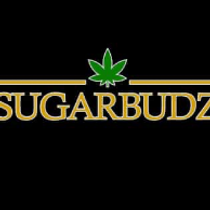 SUGARBUDZ - Pacoima