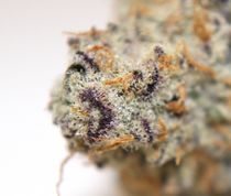 Three Rivers Dispensary Pueblo West