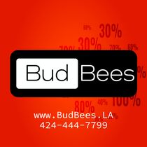 Bud Bees - Sun Valley