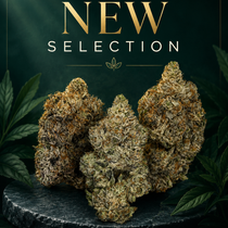 Canna-Corp-Canada.com