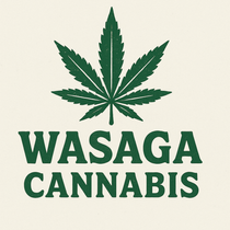 WASAGA CONNECTION