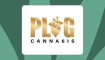 The Plug Canna6is - Bloor