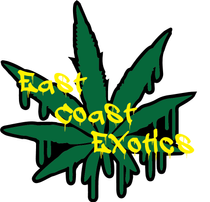 EastCoastExotics