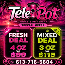 Telepot