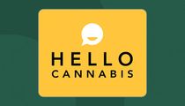 Hello Cannabis - York Street