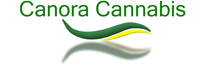 CANORA CANNABIS LTD.