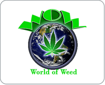 World of Weed (North York)