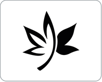 Q-Bud Cannabis (Tillsonburg)