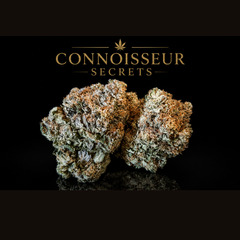 Pink kush Triple A grade 