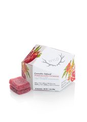 Pomegranate 1:1 CBD + Hybrid Enhanced Gummies 100:100mg