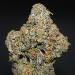 AAA+ | GREEN DOPAMINE BY MTG GENETICS - 7G