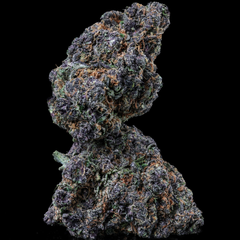 BC Garlic Cake – 14G 90$ – Sativa Dominant l