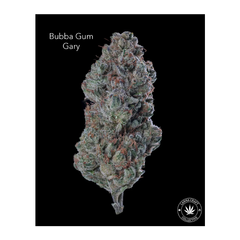 AAA+ - BUBBA GUM GARY