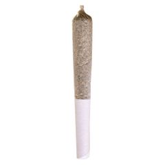 2:1 Mango Haze Pre-Rolls 10 Pack <br>CBD <br>THC 5.1% | CBD 9.1% <br>2.25% Terps