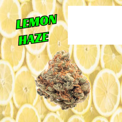 Lemon Haze