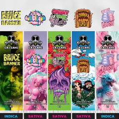 Get 2 FOR $100 - Gas Gang Official 2g Flavoured Vape Pen