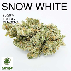 !!!SNOW WHITE 25-26% THC (2 OZ FOR $65) (4 OZ FOR $100) (8 OZ FOR $190) (1 LBS FOR $350)
