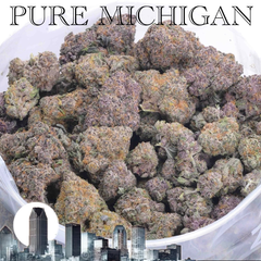 PURE MICHIGAN AAAAA+ CRAFT - 2 FOR $225
