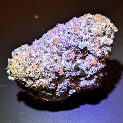 Purple Push Pop(Heavy hitter)