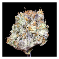 NEW Astro Pink Gas ⛽️ 70$OZ 