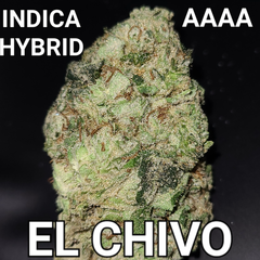 # NEW  6.5⭐ EL CHIVO AAAA  (INDICA HYBRID) ($100 OUNCE SALE) REG $280.00