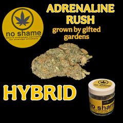 ADRENALINE RUSH - NO SHAME CANNABIS  🌟🌟🌟🌟 