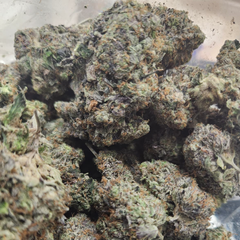 Pink Panther 5A🔥**$50 q,  $90h/o**