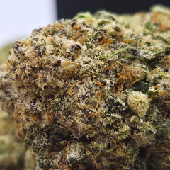 (NEW) Flavor Burst 😋  ($110/Oz)