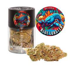 7g jar: Blue Lobster by Walt Herb Co. 