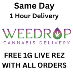 FREE 1G LIVE REZ ON ALL ORDERS