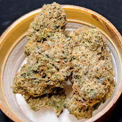 👑Master Gelato👑