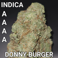 # 63% OFF   6.5⭐ DONNY BURGER (STRONG PURE INDICA) AAAA ($85 OUNCE SALE) REG $260