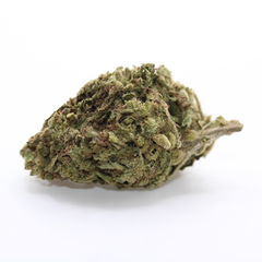 Cactus Breath - AAA+