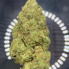 * NEW * Mimosa  [ $75/1 OZ - $140/ 2 OZ ] 