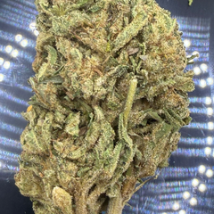 * NEW * Killa Gorilla  [ $75/1 OZ - $140/ 2 OZ ]