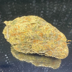 "Premium " Caviar Gold - Hybrid  - THC 32-34%