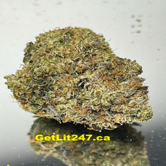 "Premium" Blue Power - Hybrid 80% Indica/ 20% Sativa - THC 31%