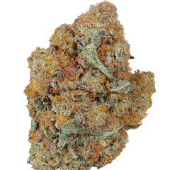 BC (AAAA) DURBAN BISCOTTI (OZ & 1/2 OZ SALE $75/$135)