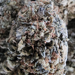 HIGH CITY CANNABIS 