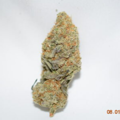 Alien Space Cookies Indica Dominant Hybrid AAA