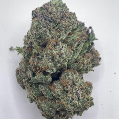 *NEW* Gastro Pop // 2oz for $160