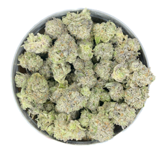 ROCKSTAR *POPCORN*